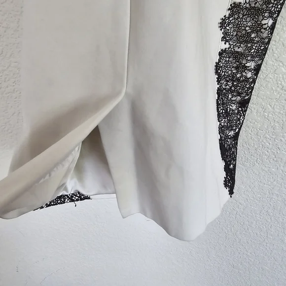 Catherine DeaneCap-Sleeve V-Neck Lace-Panel Sheath Dress, Oyster/Almond size 4 - Picture 11 of 12